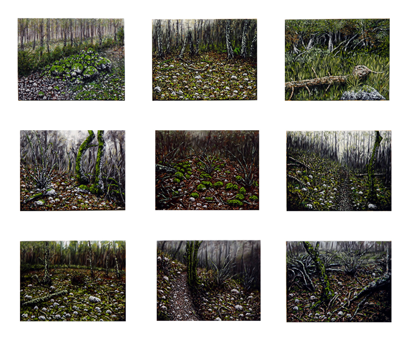 sans-titre, 9x(27X35cm), huile sur toile, 2013