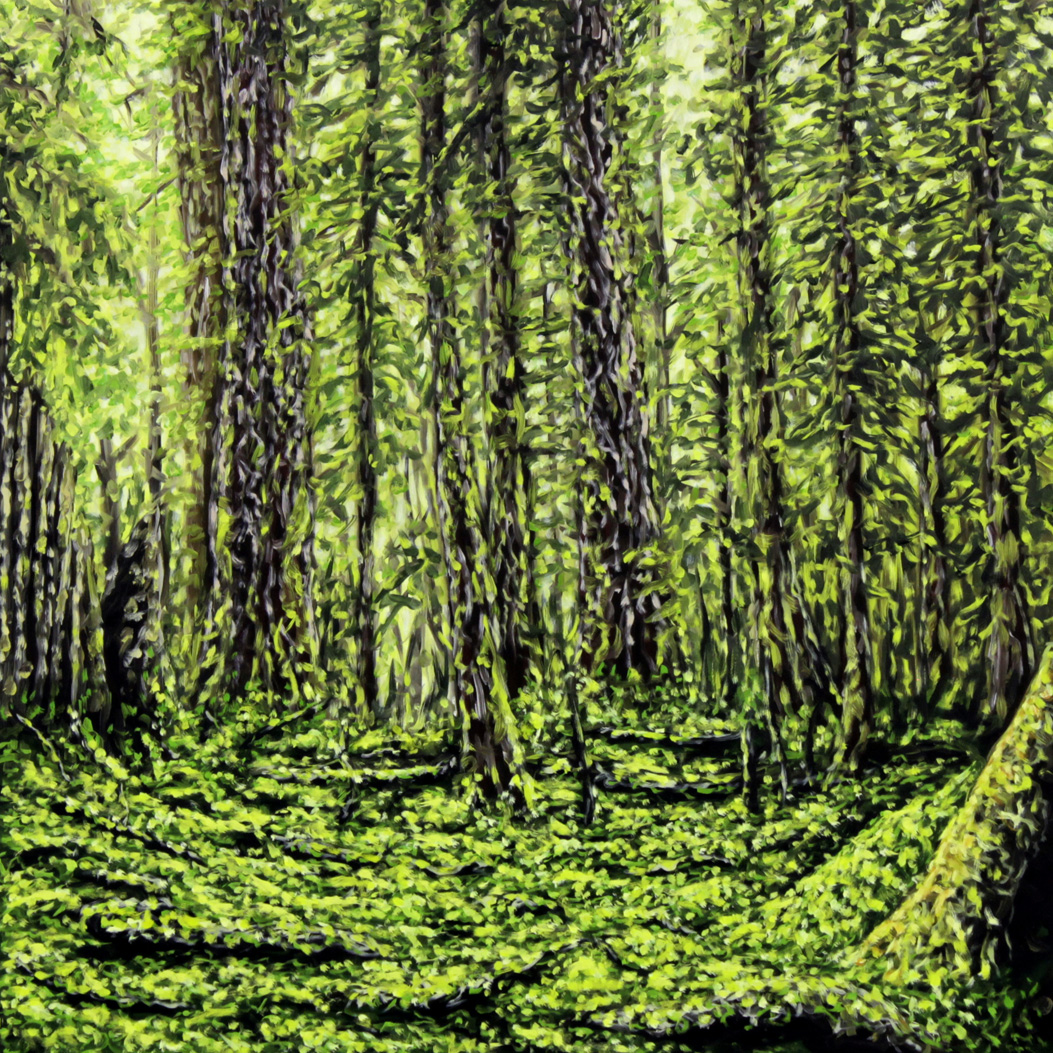 sans-titre, huile sur toile, 60X60cm, 2013