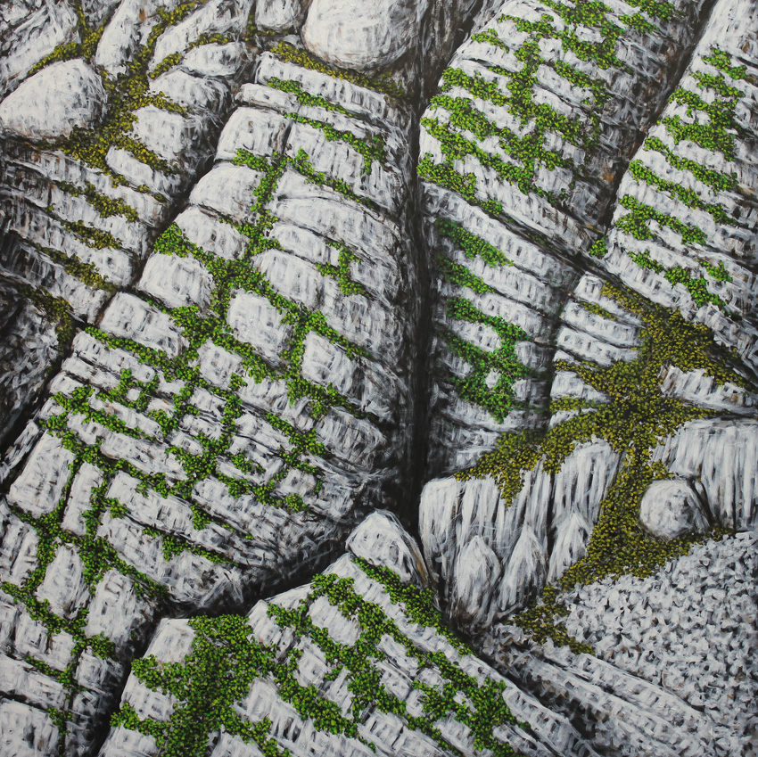 sans-titre, huile sur toile, 100x100cm, 2012