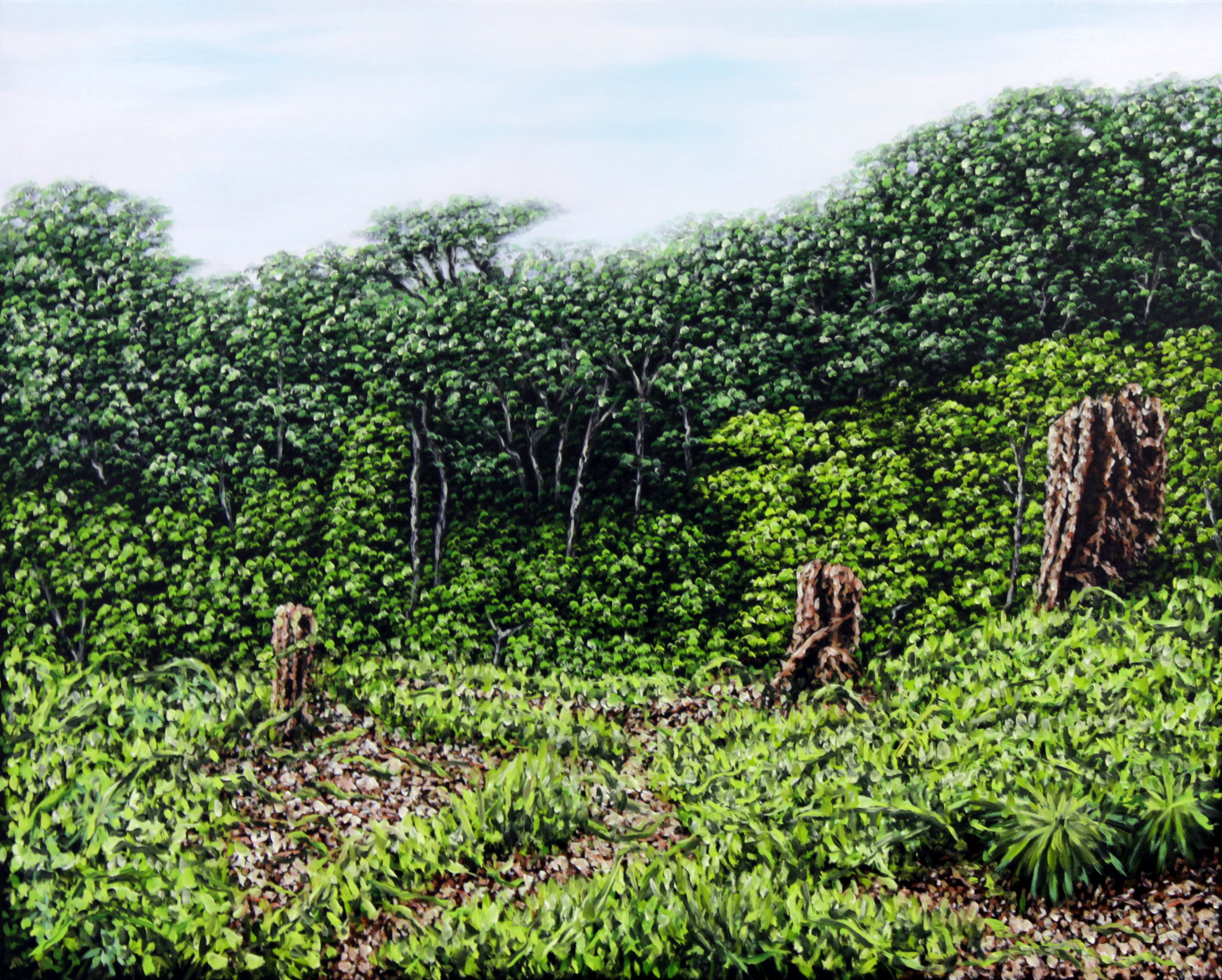 sans-titre, huile sur toile, 81X65cm, 2013