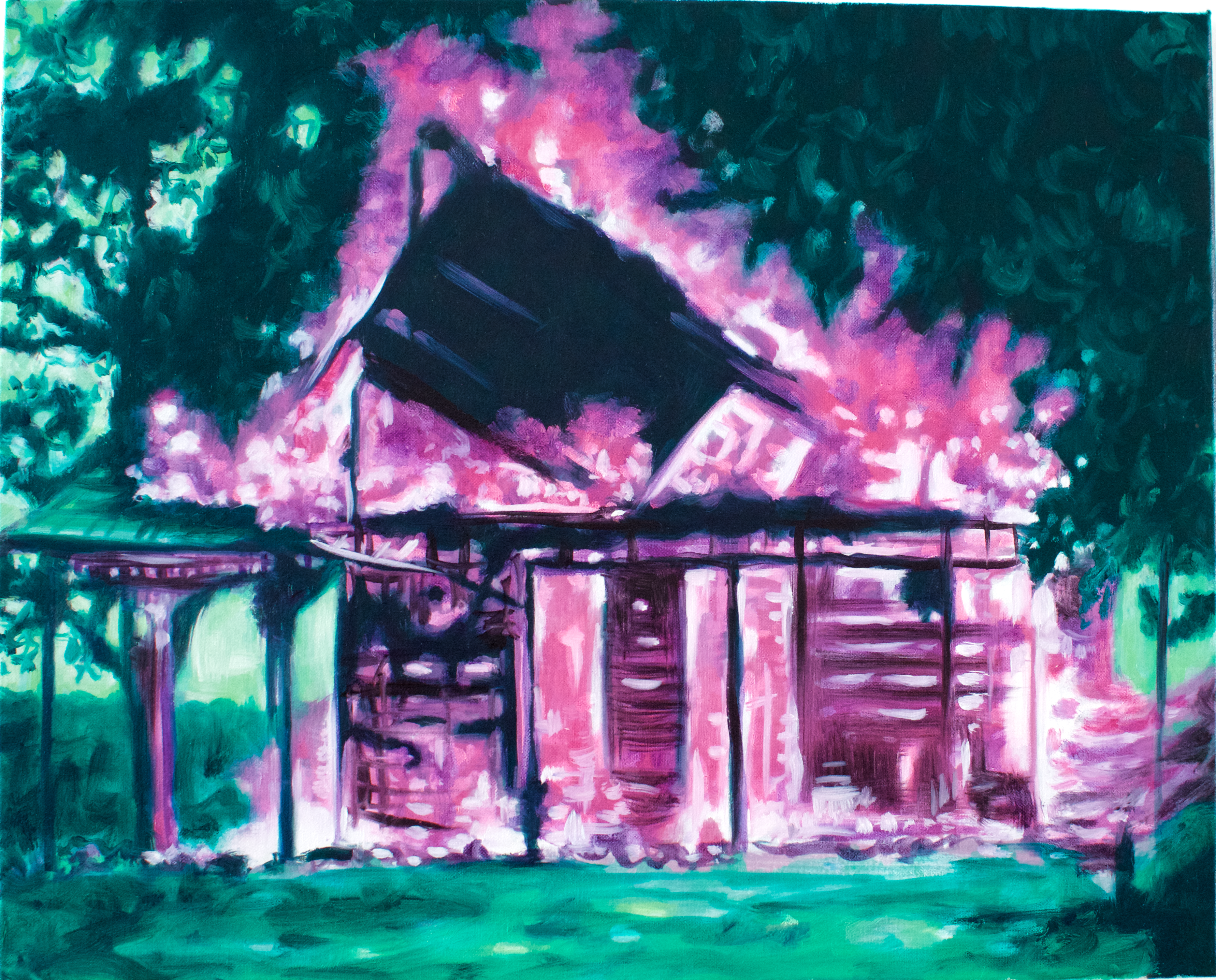 sans-titre, huile sur toile, 46x38cm, 2016