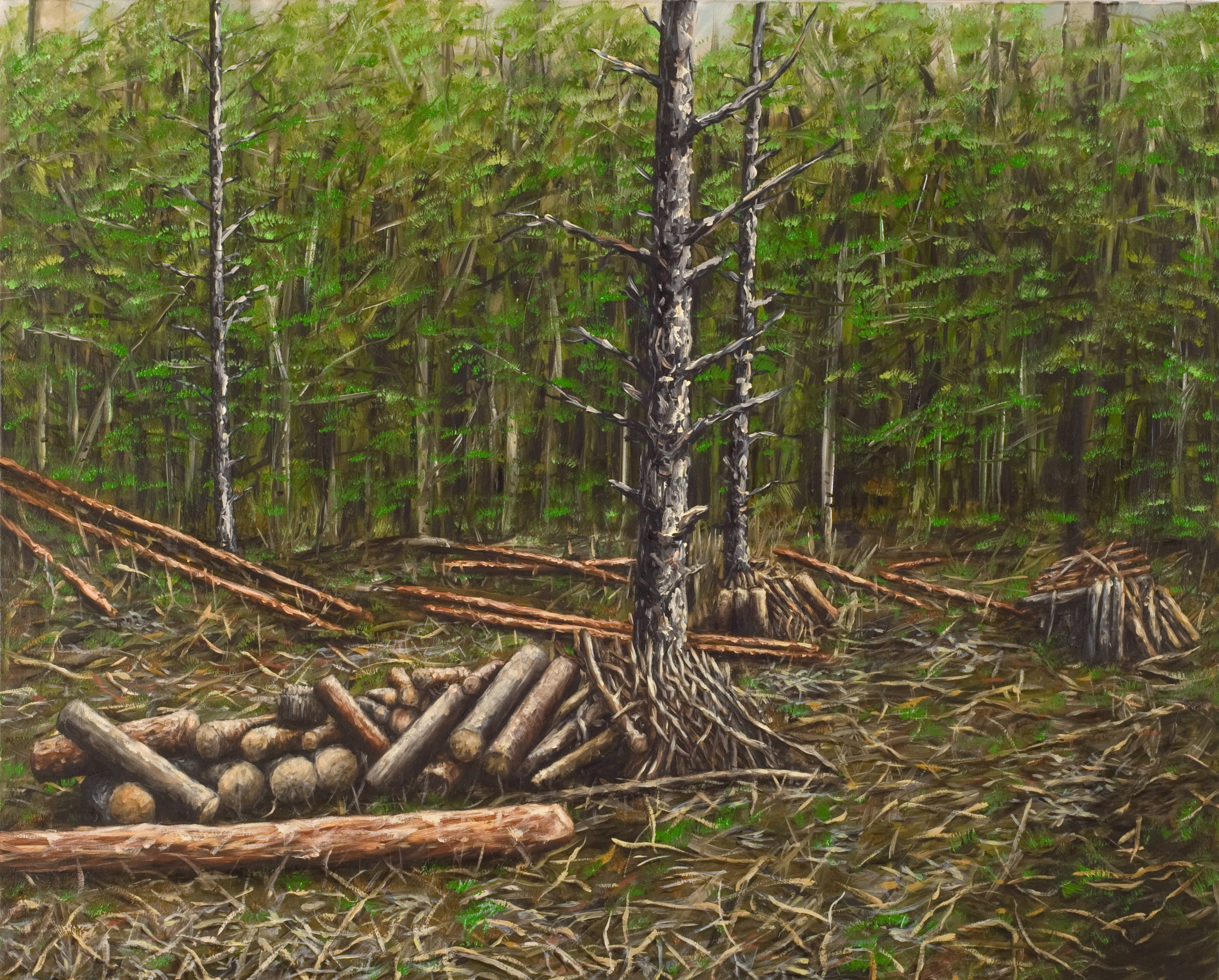 sans-titre, huile sur toile, 73x54cm, 2010