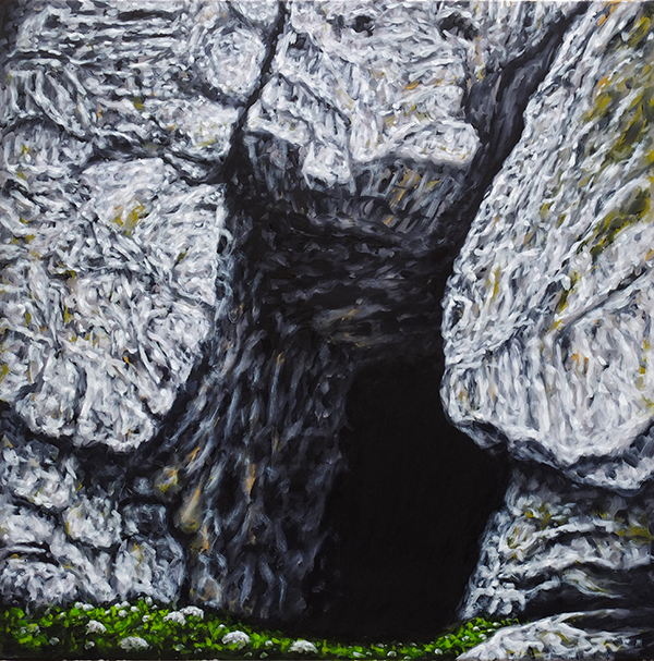 sans-titre, huile sur toile, 50x50cm, 2011