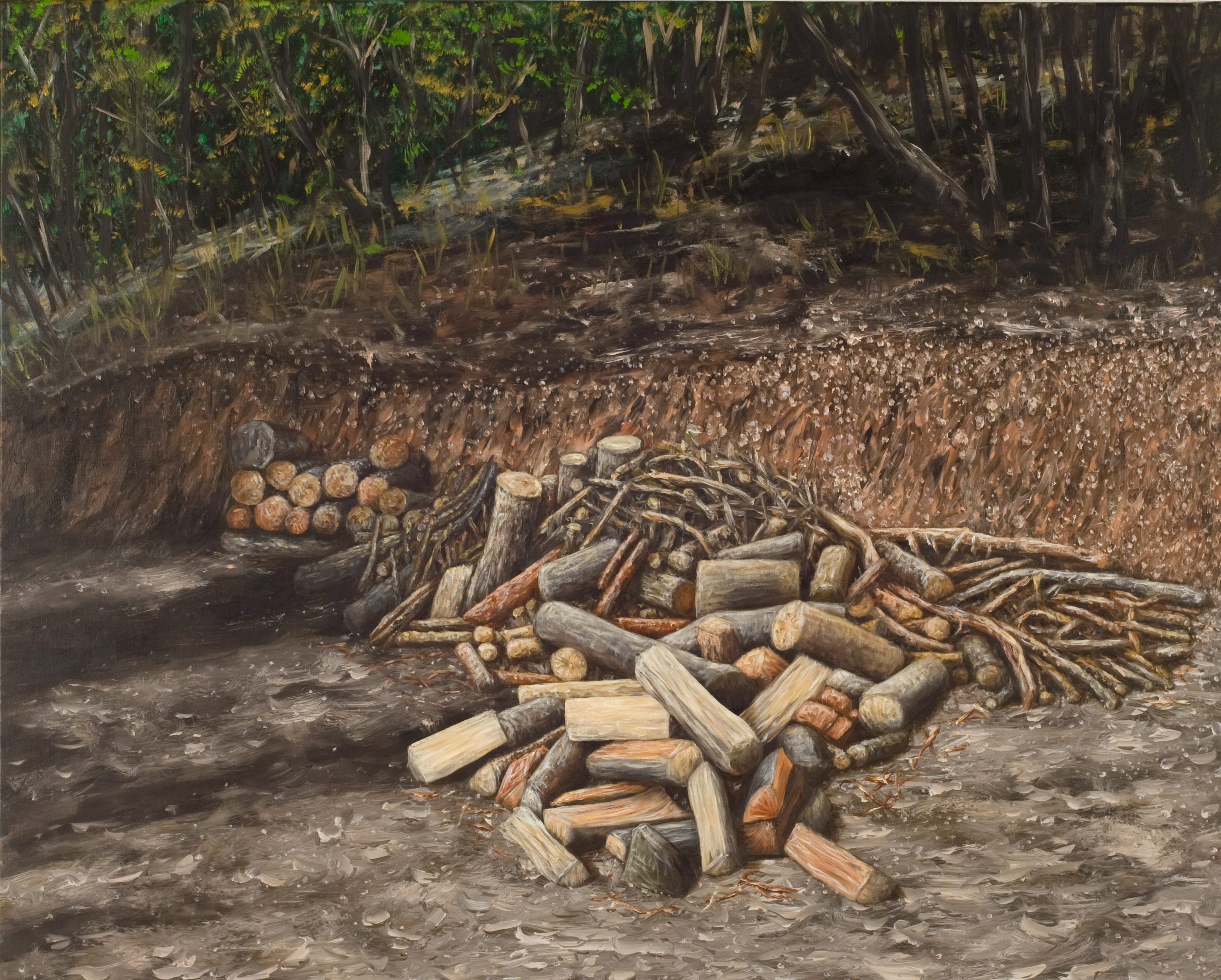 sans-titre, huile sur toile, 73x54cm, 2010