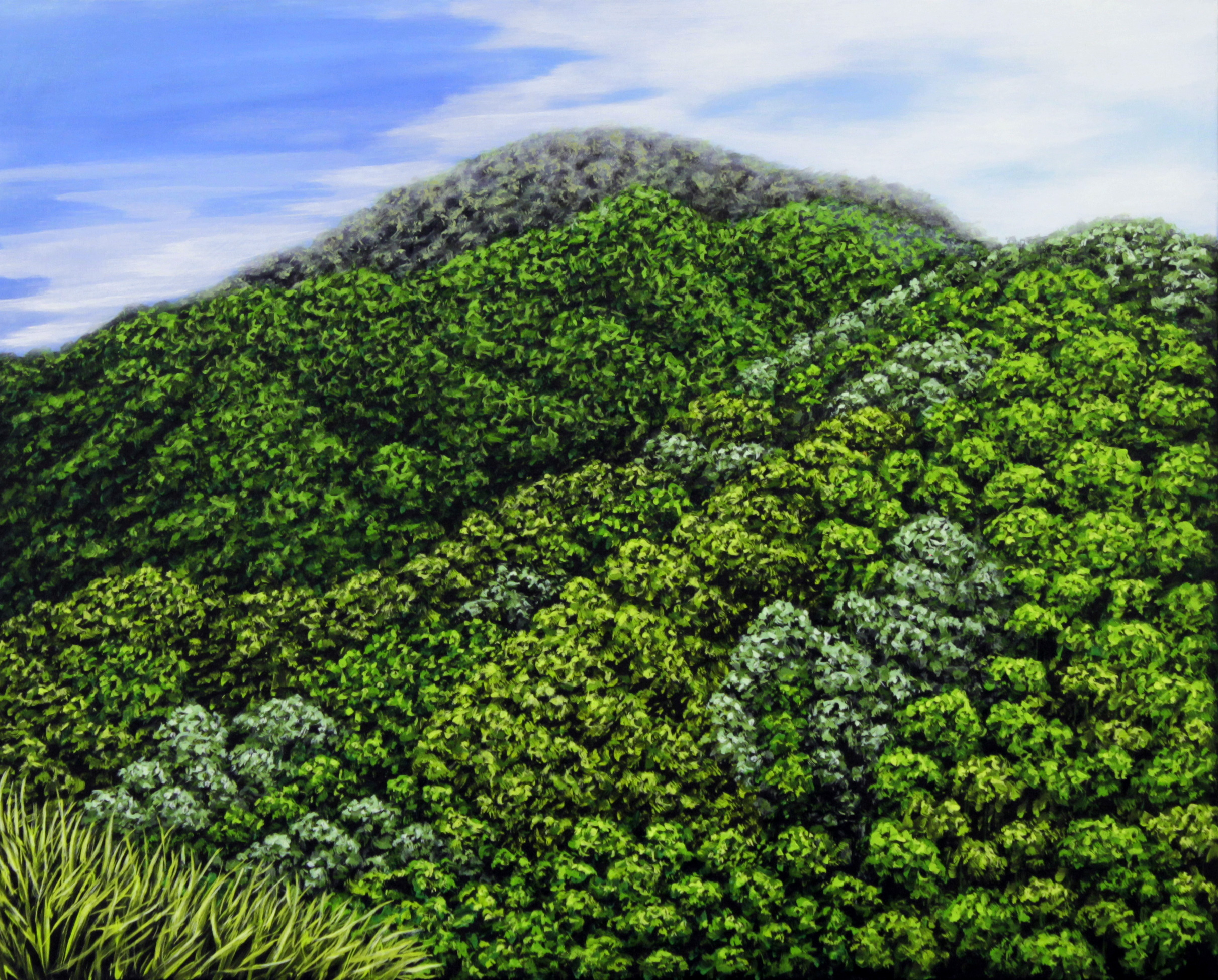 sans-titre, huile sur toile, 41X33cm, 2013
